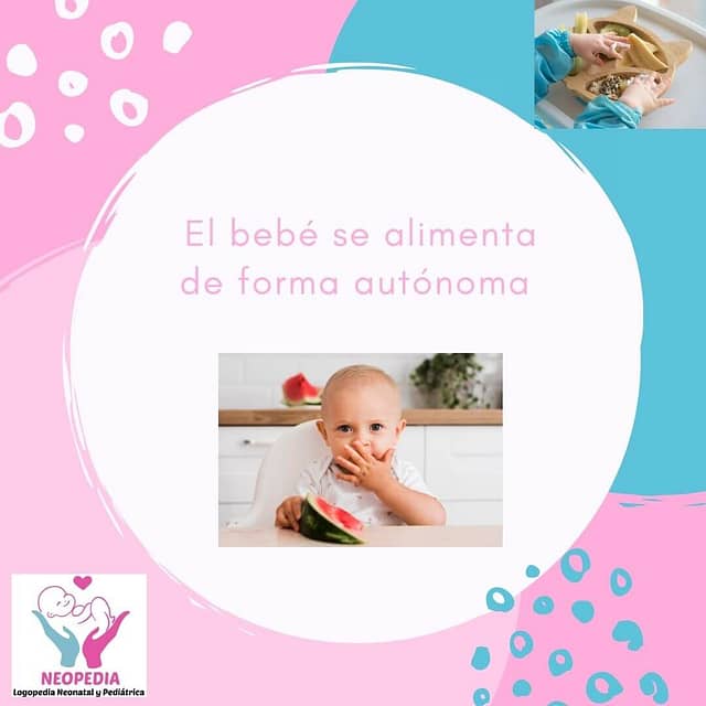 Baby-Led Weaning 3